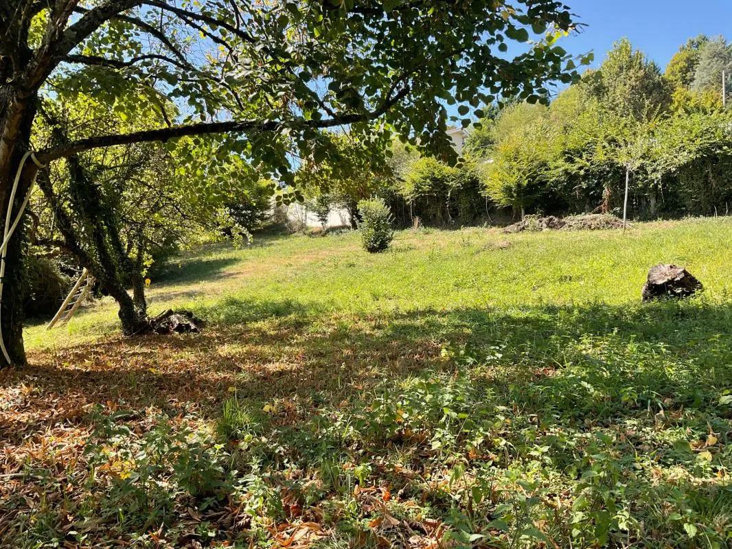Terrain 981m2 : photo 3 sur 3